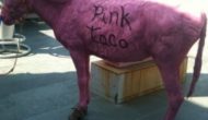 Pink Taco Inspires the Ire of Animal Rights Activists