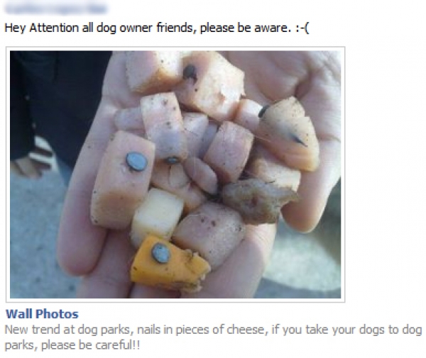 [Hoax Alert]New trend at dog parks, nails in pieces of cheese, if you take your dogs to dog parks, please be careful!!