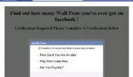 [SCAM ALERT] I've got ___ Wall Posts from friends on Facebook! How many friends wrote on your wall? Find out at bit.ly